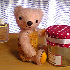 マーガレット写真1