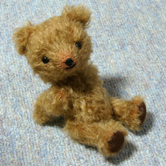 セフィーノ写真1